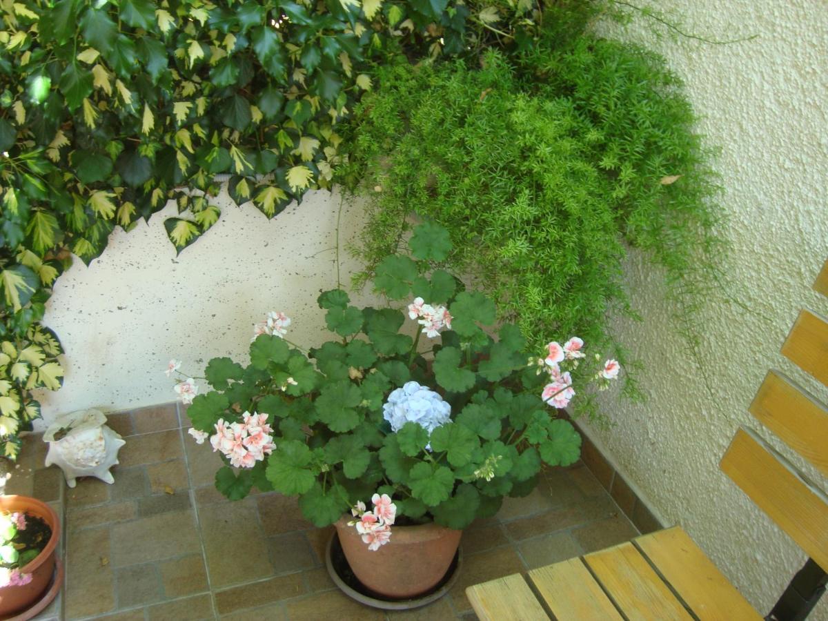 Studio Apartment Lile ตริสเตนิก ภายนอก รูปภาพ